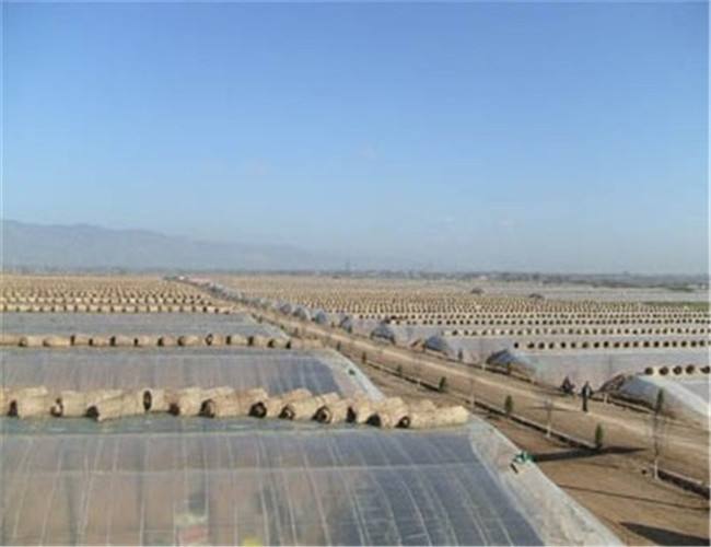 拉伸膜是如何應(yīng)用于農(nóng)業(yè)生產(chǎn)中的?